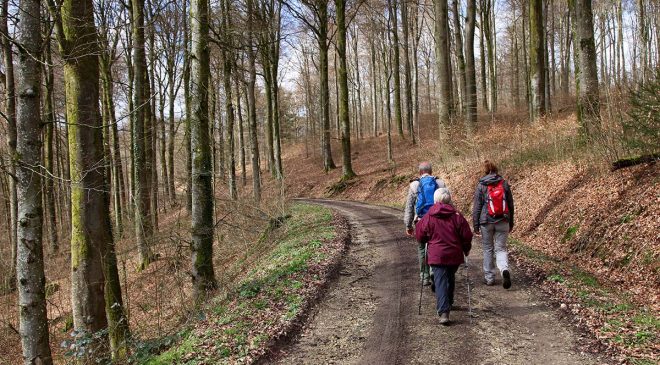 ardennen2