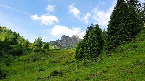 Urlaub im Großarltal