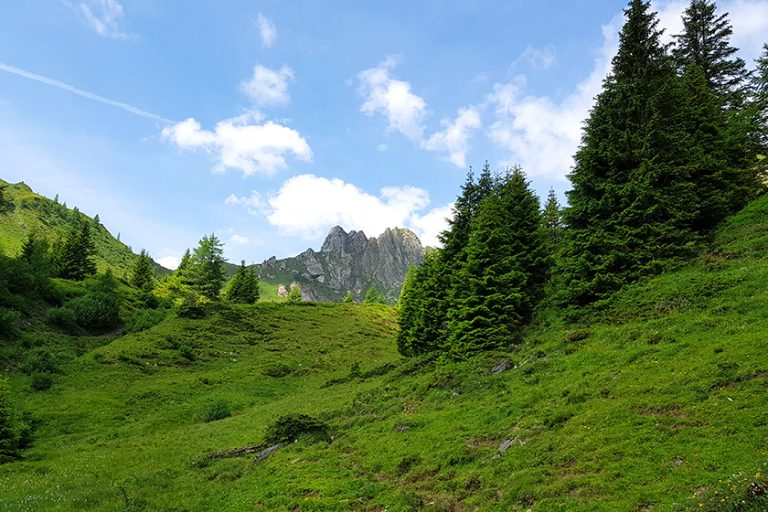 Urlaub im Großarltal