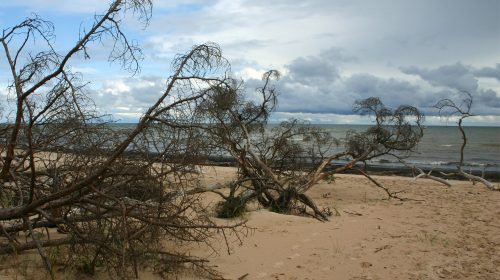 Video: Beautiful Latvia