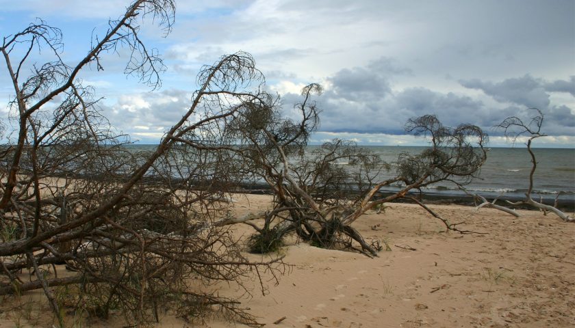 Video: Bezauberndes Lettland