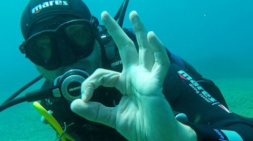 Video: Diving on Elba