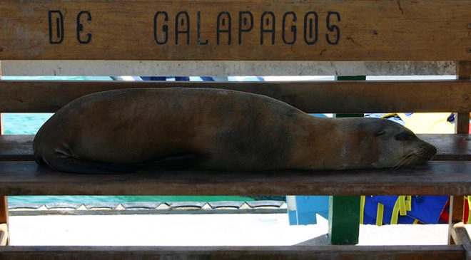 Video: The amazing Galapagos Islands