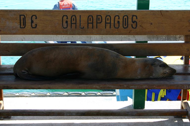 Video: The amazing Galapagos Islands